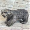EUROPEAN BRONZE Nice European Signed Bronze Wealth Crawl Animals Ferocious Bear Statue Figure Statue Gift Art view 1