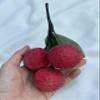 3 Bunches Artificial Lychees Fake Fruit for Display, Home Decor, Kitchen Decor, Shop Decor view 4