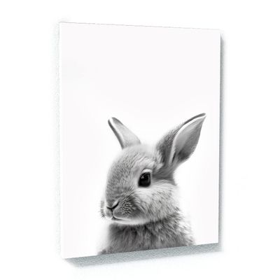 Sense Canvas Nursery Baby Rabbit Black White 177 Canvas Art - Home Decor Wall Art Print Poster Painting Large 30x40 / 1.5"