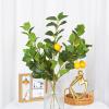Mokylor 3 Pcs Artificial Lemon Branches Decor, 25.5 Inch Yellow Faux Fake Lemon with Green Leaves, Artificial Floral Picks Lemon Tree Stem Plant Fruit Bouquet for Table Centerpiece,Home Decoration view 4
