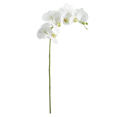 Napa Home & Garden, PHALAENOPSIS Orchid STEM 28"