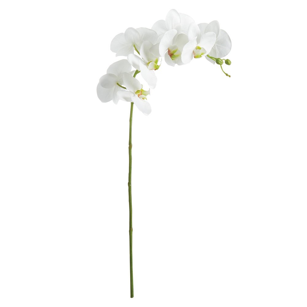 Napa Home & Garden, PHALAENOPSIS Orchid STEM 28"