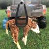 Livestock Suspenders Weigh Sling Breathable Mesh Small Pet Weigh Hammock Puppy Lift Sling for Animal Weighing 22.44X13.38 Inches view 2