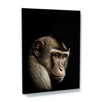 Sense Canvas Animal Black Monkey Head 46 Canvas Art - Home Decor Wall Art Print Poster Painting Medium 18x24 / 1.5"