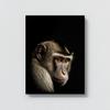 Sense Canvas Animal Black Monkey Head 46 Canvas Art - Home Decor Wall Art Print Poster Painting Medium 18x24 / 1.5" view 4