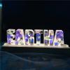 Alphabet-Custom Eternal Flower LED Night Light USB Letter Led Dried Decorative Lamp for Lover Wife Girlfriend (10 Letters) view 1