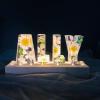 Alphabet-Custom Eternal Flower LED Night Light USB Letter Led Dried Decorative Lamp for Lover Wife Girlfriend (2 Letters) view 2