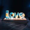 Alphabet-Custom Eternal Flower LED Night Light USB Letter Led Dried Decorative Lamp for Lover Wife Girlfriend (2 Letters) view 3