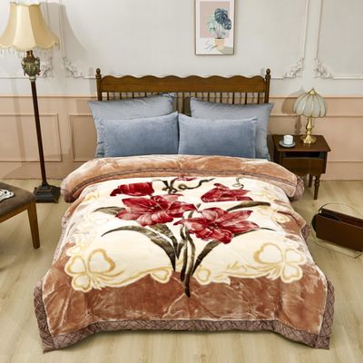 4.4lbs Korean Mink Blanket 59"X79",Silky Soft and Warm,2 Ply Reversible Printed Raschel Blanket for Single Bed/Sofa Blanket