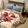 4.4lbs Korean Mink Blanket 59"X79",Silky Soft and Warm,2 Ply Reversible Printed Raschel Blanket for Single Bed/Sofa Blanket view 3