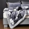 4.4lbs Korean Mink Blanket 59"X79",Silky Soft and Warm,2 Ply Reversible Printed Raschel Blanket for Single Bed/Sofa Blanket view 4