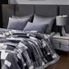 6.6lbs Korean Mink Blanket Full Size 71"X87",Winter Warm Plush Fleece Blankets,Super Soft Cozy Thick,2 Ply Reversible Printed Raschel Single Bed/Sofa Blanket view 3