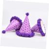 balacoo Birthday Party Hat Shiny Plush Festive Cap for Boys and Girls and Adults Paper Decoration for Celebrations and Photo Props view 3