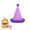 balacoo Birthday Party Hat Shiny Plush Festive Cap for Boys and Girls and Adults Paper Decoration for Celebrations and Photo Props view 4