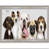 10x32 Traditional Silver Complete Wood Panoramic Frame with UV Acrylic Plexiglass, Foam Board Backing & Hardware Included view 1