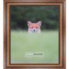 Poster Palooza 5x8 Inch Traditional Walnut Complete Wood Picture Frame with UV Acrylic Plexiglass, Foam Board Backing & Hardware Included - 5x8 Inch Frame view 3