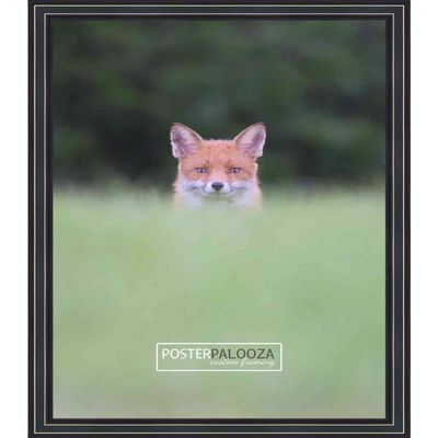 Poster Palooza 22x28 Traditional Black Complete Wood Picture Frame with UV Acrylic Plexiglass, Foam Board Backing & Hardware Included