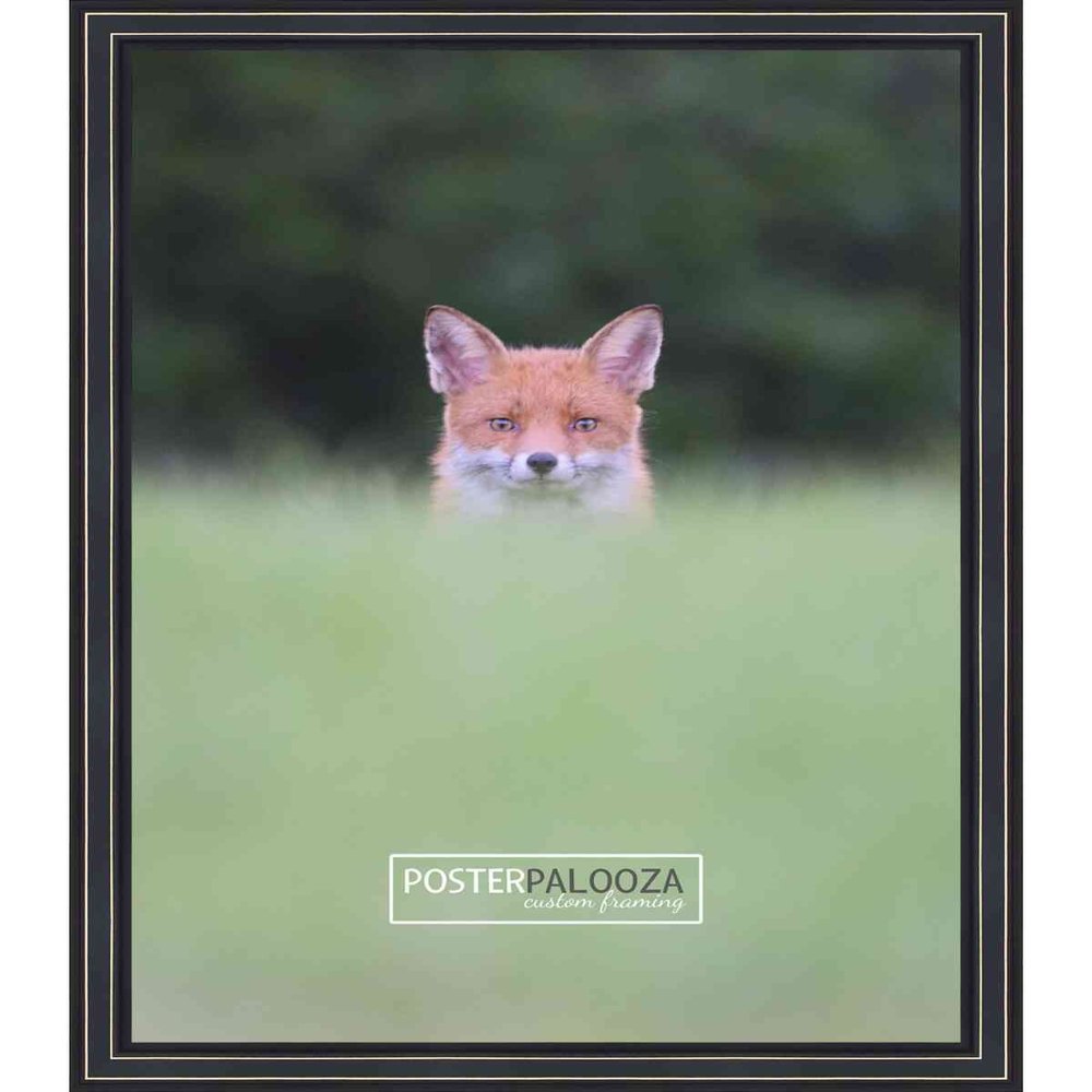 Poster Palooza 22x28 Traditional Black Complete Wood Picture Frame with UV Acrylic Plexiglass, Foam Board Backing & Hardware Included