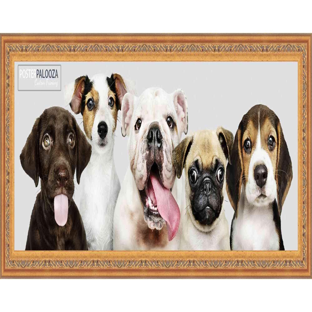 Poster Palooza 8x20 Ornate Gold Complete Wood Picture Frame with UV Acrylic Plexiglass, Foam Board Backing & Hardware Included