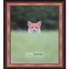 Poster Palooza 16x22 Contemporary Walnut Complete Wood Picture Frame with UV Acrylic Plexiglass, Foam Board Backing & Hardware Included view 1