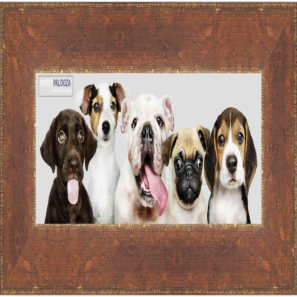 Poster Palooza 14x40 Distressed/Aged Antique Gold Complete Wood Panoramic Frame with UV Acrylic Plexiglass, Foam Board Backing & Hardware Included