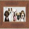 Poster Palooza 14x40 Distressed/Aged Antique Gold Complete Wood Panoramic Frame with UV Acrylic Plexiglass, Foam Board Backing & Hardware Included view 1