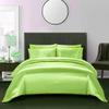 Twin XL Duvet Cover Set 4 Piece Bedding Duvet Cover Set (Duvet Cover + Fitted Sheet 19'' + 2 Pillow Cases) Silk Satin Zipper Closure - Moss view 2