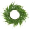 Capsicum Wreath view 1