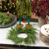 Capsicum Wreath view 3