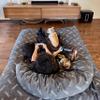 CordaRoy's NEST Adult Gaming Bean Bag Chair-Convertible Bean Bag Chair -Washable Chenille Cover with Pockets-for Living Room,Basement-Full Size-Rainforest|Made in The USA view 2