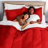 Phoenix Citadel Queen All-Season Cooling Warmth Comforter Set  3 Piece Bedding  100% Egyptian Cotton, Long-Staple & Silky Soft  Luxury Hotel-Quality Duvet Insert  Machine Washable - Red view 4