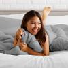 Oversized Queen All-Season Cooling Warmth Comforter Set  3 Piece Bedding  100% Egyptian Cotton, Long-Staple & Silky Soft  Luxury Hotel-Quality Duvet Insert  Machine Washable - Silver Gray view 2