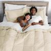 Phoenix Citadel King All-Season Cooling Warmth Comforter Set  3 Piece Bedding  100% Egyptian Cotton, Long-Staple & Silky Soft  Luxury Hotel-Quality Duvet Insert  Machine Washable - Ivory view 4