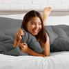 Phoenix Citadel Queen All-Season Cooling Warmth Comforter Set  3 Piece Bedding  100% Egyptian Cotton, Long-Staple & Silky Soft  Luxury Hotel-Quality Duvet Insert  Machine Washable - Dark Gray view 2