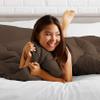 Phoenix Citadel Twin All-Season Cooling Warmth Comforter Set  3 Piece Bedding  100% Egyptian Cotton, Long-Staple & Silky Soft  Luxury Hotel-Quality Duvet Insert  Machine Washable - Chocolate view 2