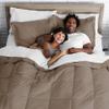 Phoenix Citadel Twin All-Season Cooling Warmth Comforter Set  3 Piece Bedding  100% Egyptian Cotton, Long-Staple & Silky Soft  Luxury Hotel-Quality Duvet Insert  Machine Washable - Taupe view 4