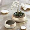 Napa Home & Garden, Maude Decorative Bowls, Set of 2 view 2