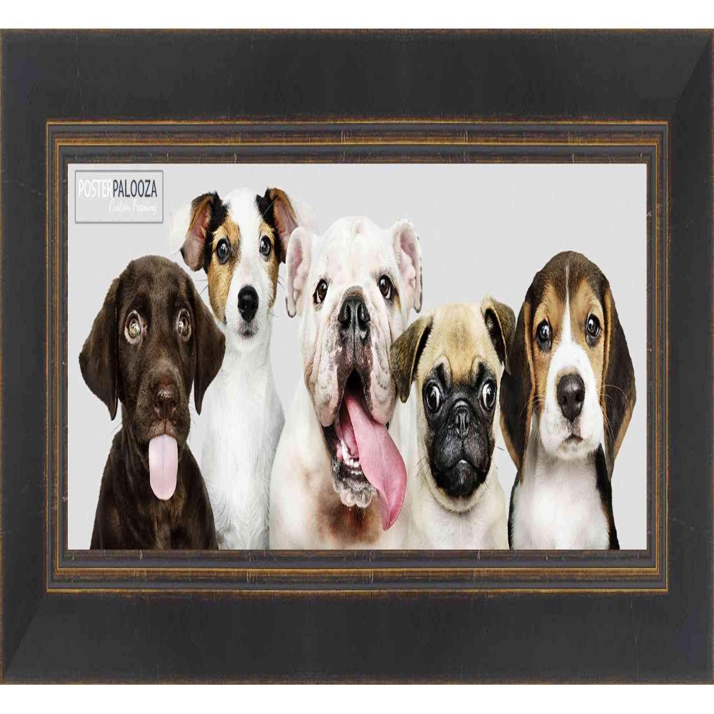 Poster Palooza 13.5x40 Contemporary Black Complete Wood Panoramic Frame with UV Acrylic Plexiglass, Foam Board Backing & Hardware Included