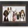 Poster Palooza 13.5x40 Contemporary Black Complete Wood Panoramic Frame with UV Acrylic Plexiglass, Foam Board Backing & Hardware Included view 1