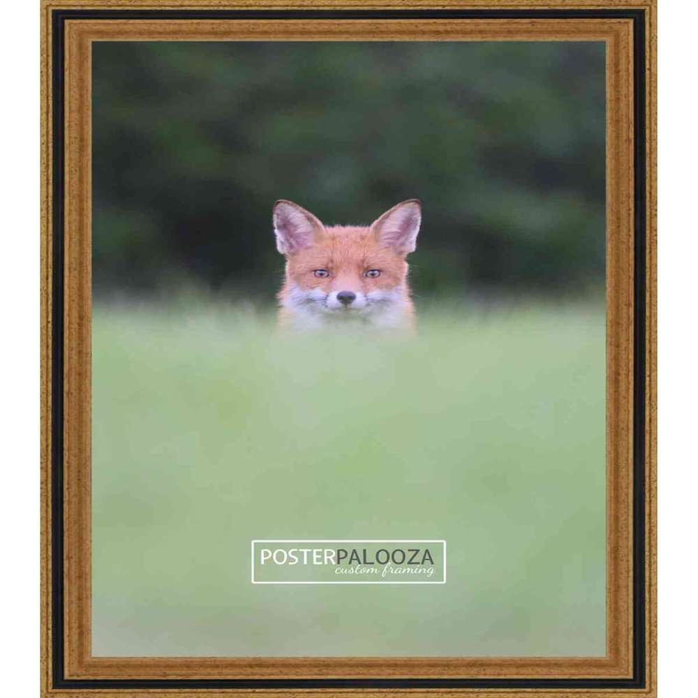 Poster Palooza 10x13 Traditional Gold Complete Wood Picture Frame with UV Acrylic Plexiglass, Foam Board Backing & Hardware Included