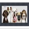 13.5x40 Traditional Black Complete Wood Panoramic Frame with UV Acrylic Plexiglass, Foam Board Backing & Hardware Included view 1