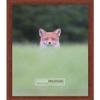 Poster Palooza 14x20 Traditional Walnut Complete Wood Picture Frame with UV Acrylic Plexiglass, Foam Board Backing & Hardware Included view 3
