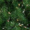 Northlight 4' Pre-Lit Sierra Noble Fir Artificial Christmas Tree, Clear Lights view 4