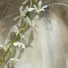 Napa Home & Garden Almeta Decorative Tray White Pearl view 2