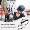 BESPORTBLE Rope -Resistant Training Tool for Equine Polyester Collar for Outdoor Events and Horsemanship Fit for All Horses view 2