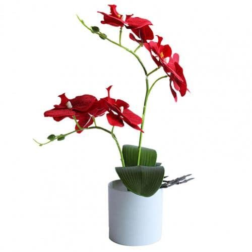 HXSCOO Artificial Bonsai Vivid Wear-Resistant No Withering Orchid Simulation Bonsai Flower for Garden (Color : Red)
