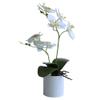 HXSCOO Artificial Bonsai Vivid Wear-Resistant No Withering Orchid Simulation Bonsai Flower for Garden (Color : Red) view 2