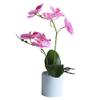 HXSCOO Artificial Bonsai Vivid Wear-Resistant No Withering Orchid Simulation Bonsai Flower for Garden (Color : Red) view 3