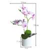 HXSCOO Artificial Bonsai Vivid Wear-Resistant No Withering Orchid Simulation Bonsai Flower for Garden (Color : Red) view 4