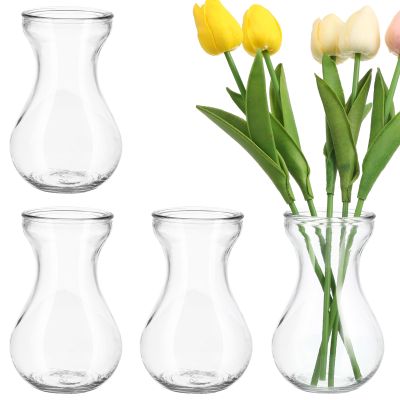 GANAZONO Small Clear Glass Hyacinth Vase 5.51X3.14In Hydroponic Flower Bulb Container Decorative Glass Vase for Home Office Table Centerpieces